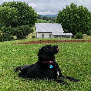 Meet your Posher, Ashley